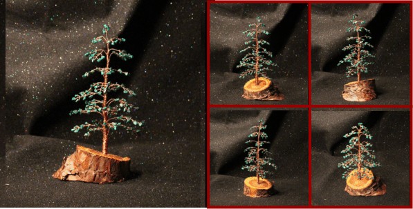 Malachite evergreen on pine